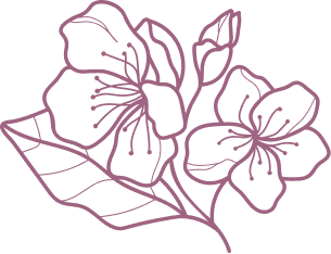 peach blossoms flower